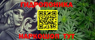 гидра Можга