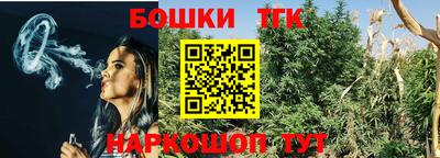 стафф Моздок