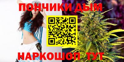 стафф Моздок