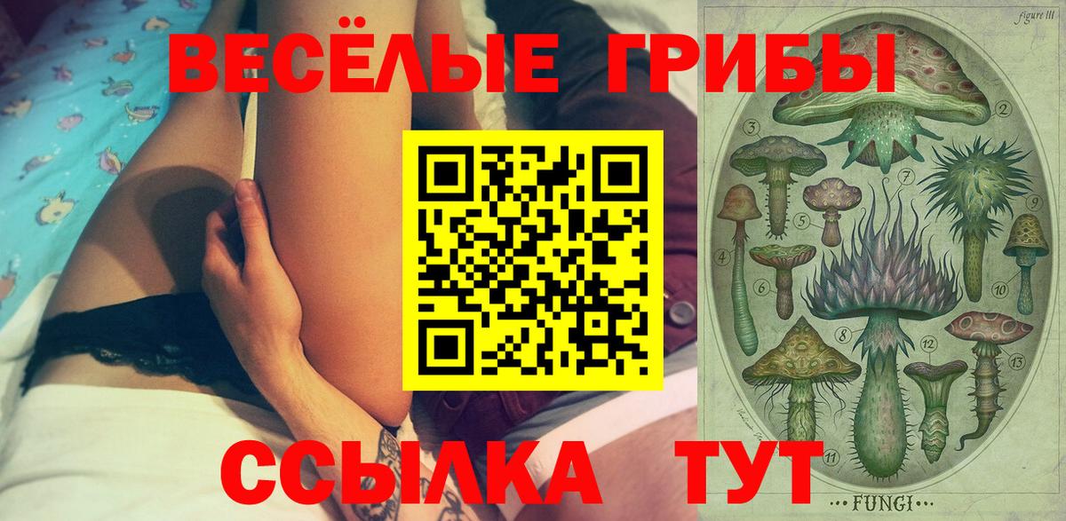 Галлюциногенные грибы мицелий  Вход с VPN  купить закладку  Топки  Псилоцибиновые грибы Magic Shrooms 
